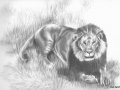 lion_pencil.jpg